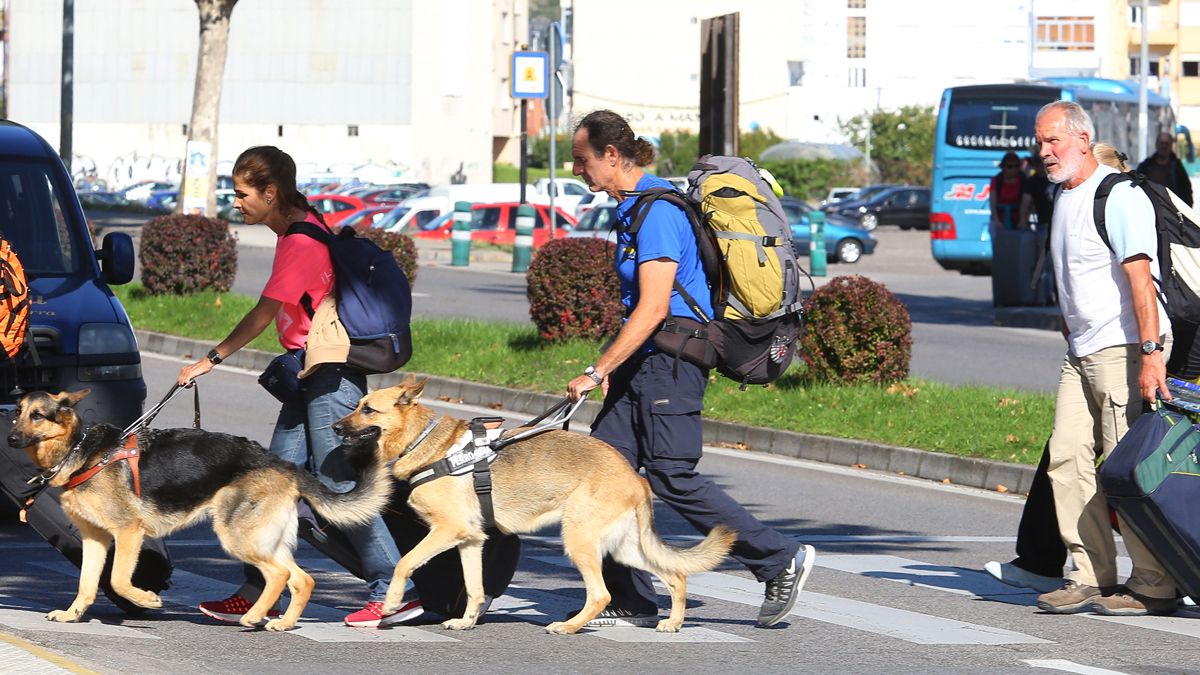 Turistas haciendo el Camino de Santiago a su paso por Ponferrada acompañados por sus mascotas. | ICAL