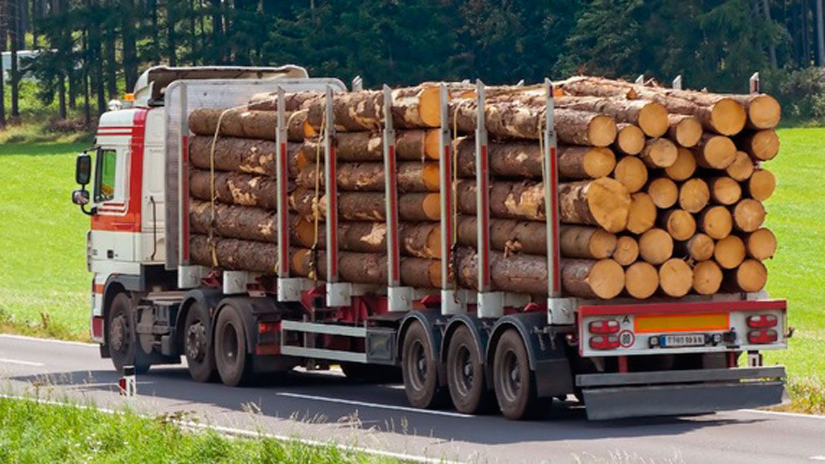 La industria de la madera tiene implicación en servicios de primera necesidad, según Cesefor.