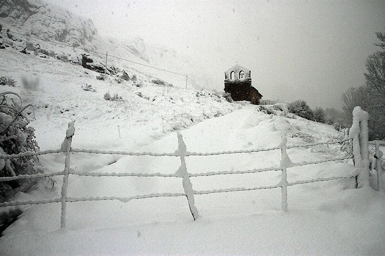 Imagen de la galería de Dora trajo la nieve y Ernest, la espesura