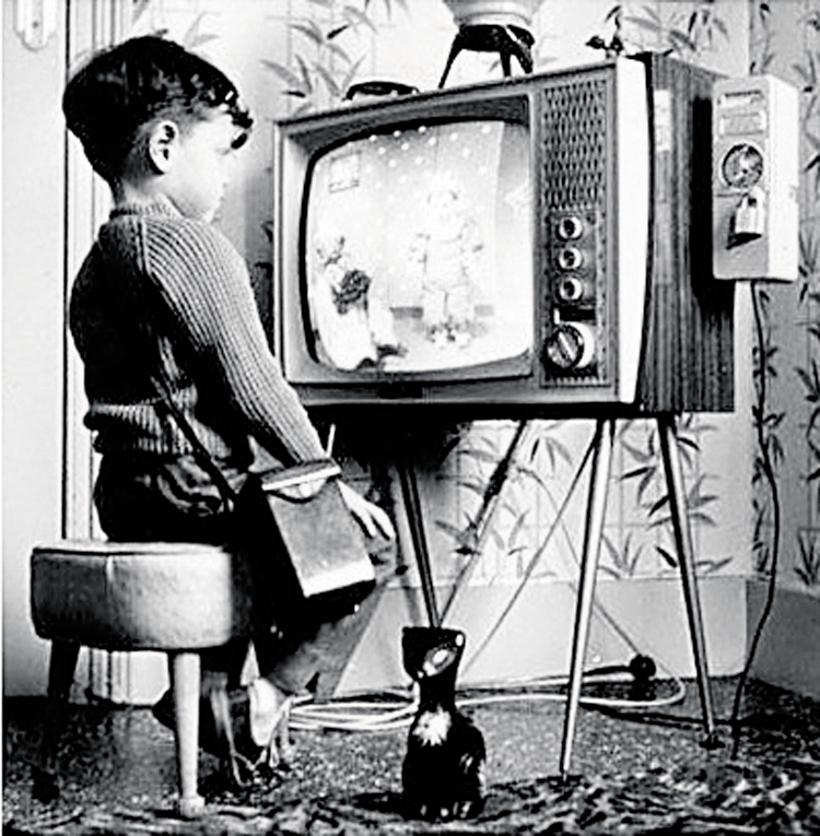 nene_television_231219
