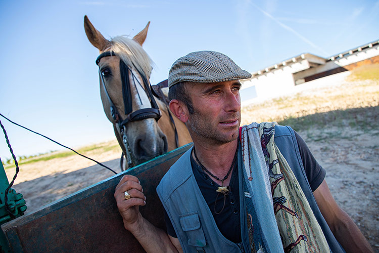 Vida trashumante con destino en Picos de Europa