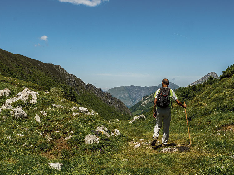 Descenso del Puerto con el Parque Natural de Ponga al fondo. | VICENTE GARCÍA