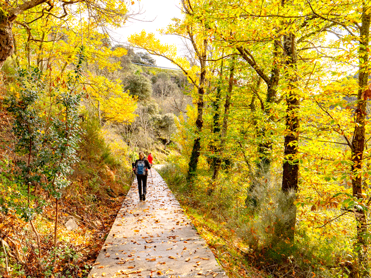 Camino de Aguas de Villafranca. | VICENTE GARCÍA