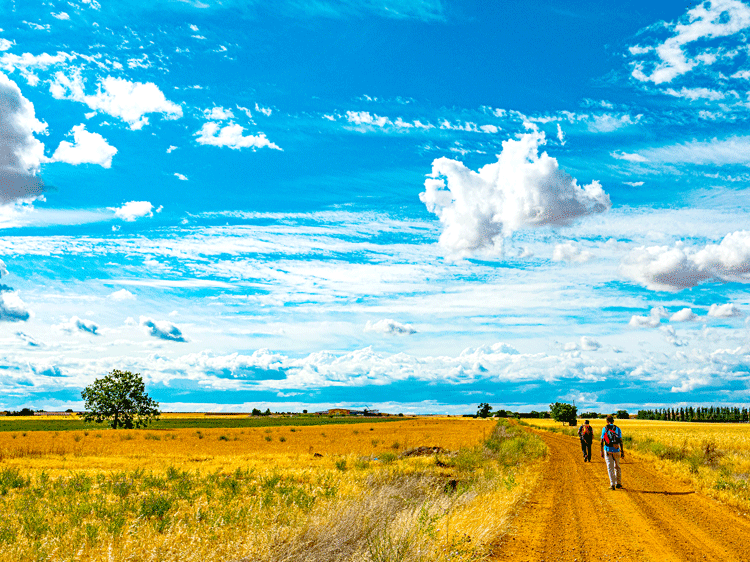 Caminando por el llano manteniendo la distancia. | VICENTE GARCÍA