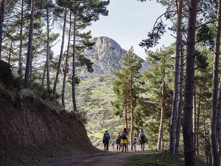 Una ruta para toda la familia. | VICENTE GARCÍA