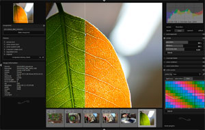 Darktable es el software que hará frente al al omnipresente Lightroom.
