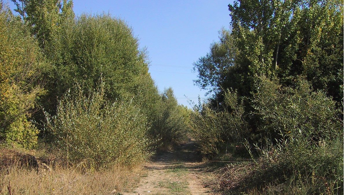 En la fotografía, detalle de la ribera del Torío, que marca los pueblos del municipio. | AYTO. VILLAQUILAMBRE