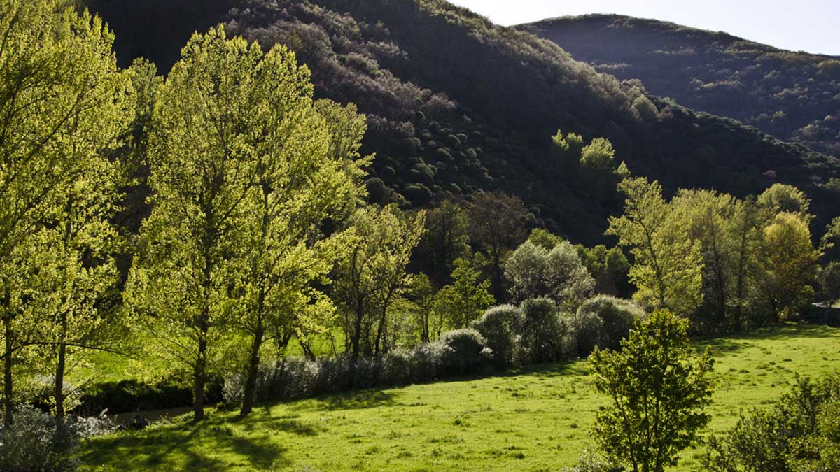 En la imagen, prados de fondo de valle en Lazado. | BÚHO VIAJERO