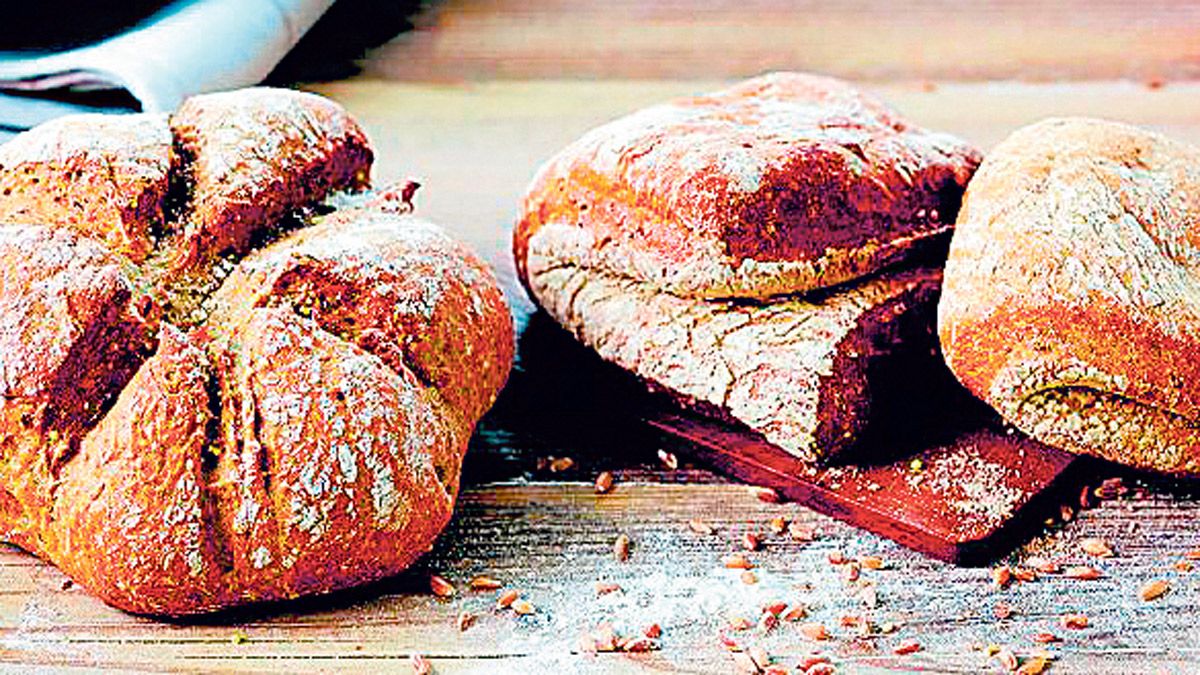 Cofrigus es un profesional en el estudio del mercado, garantizando satisfacer las necesidades de sus clientes.