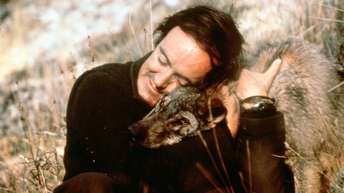 Imagen de archivo del naturalista Félix Rodríguez de la Fuente junto a un lobo. | ICAL