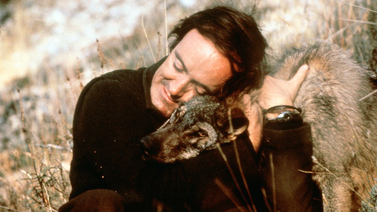 Imagen de archivo del naturalista Félix Rodríguez de la Fuente junto a un lobo. | ICAL