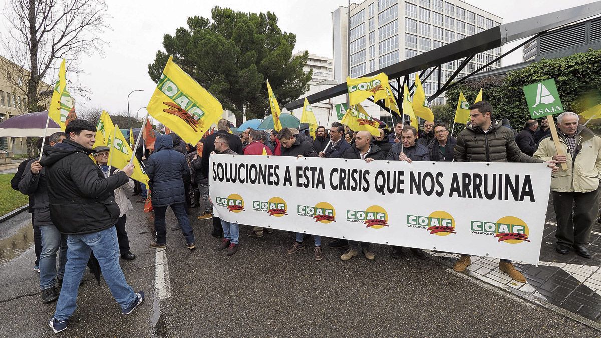 Alrededor de 200 agricultores y ganaderos se manifestaron ayer en Valladolid en la primera movilización de las opas. | ICAL