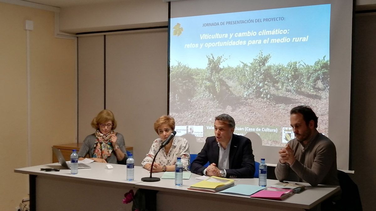 Un instante de estas jornadas dirigidas al sector de la viticultura. | L.N.C.