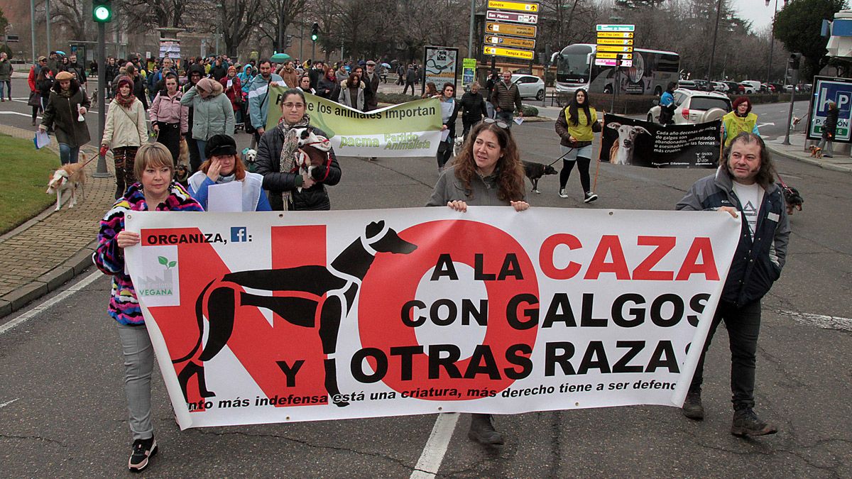 caza-galgos-222020.jpg