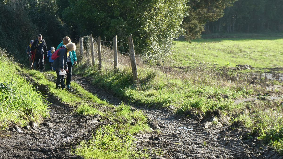 Los caminantes que recorrieron la etapa, en uno de los tramos más embarrados. | MARTA ROMÁN