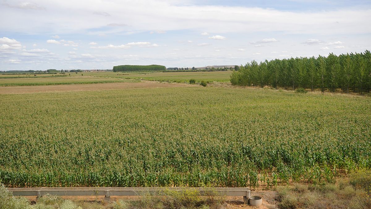 campo-ue-12-04-18-1.jpg campo-ue-12-04-18-1.jpg