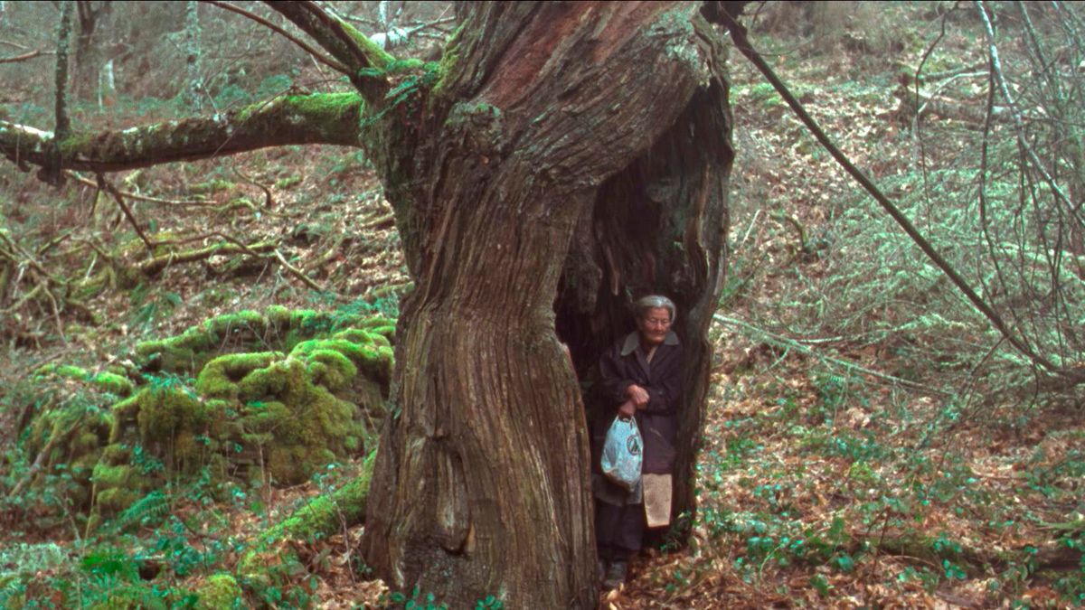 Una de las imágenes de la película.