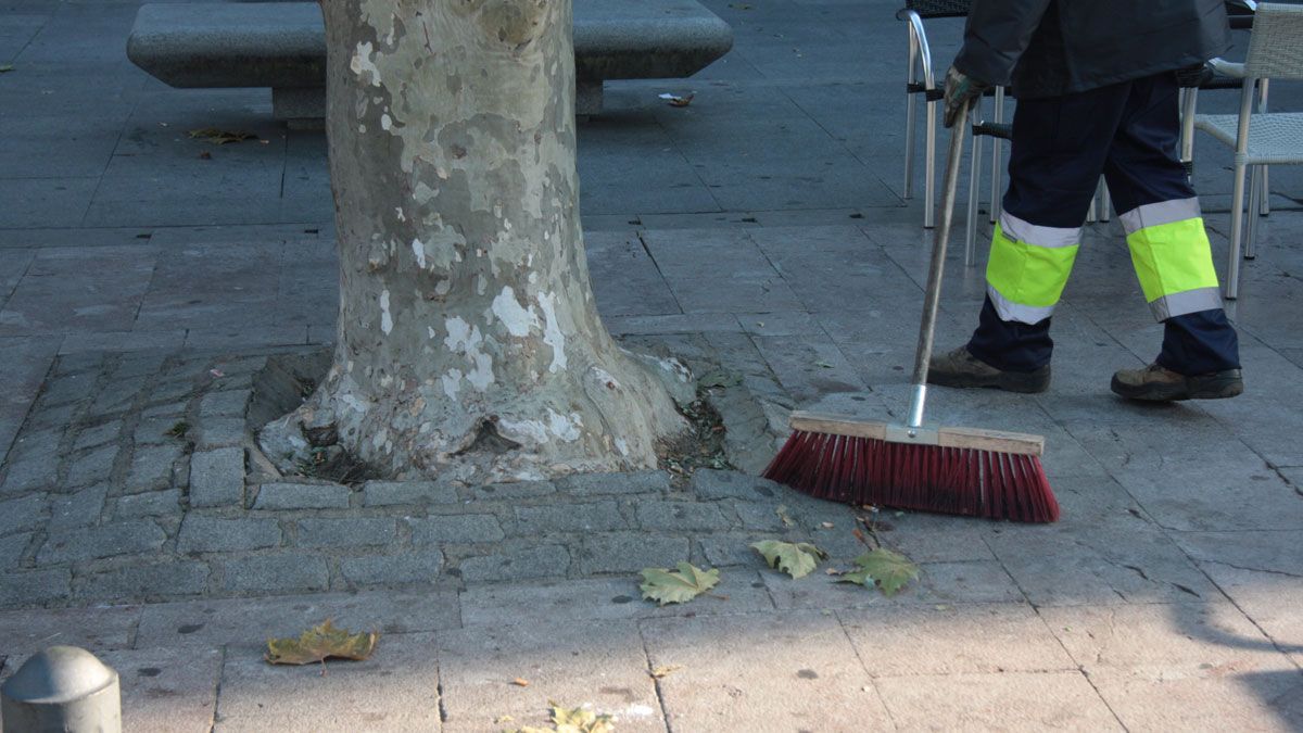 Imagen de un trabajador del servicio de limpieza. | DANIEL MARTÍN