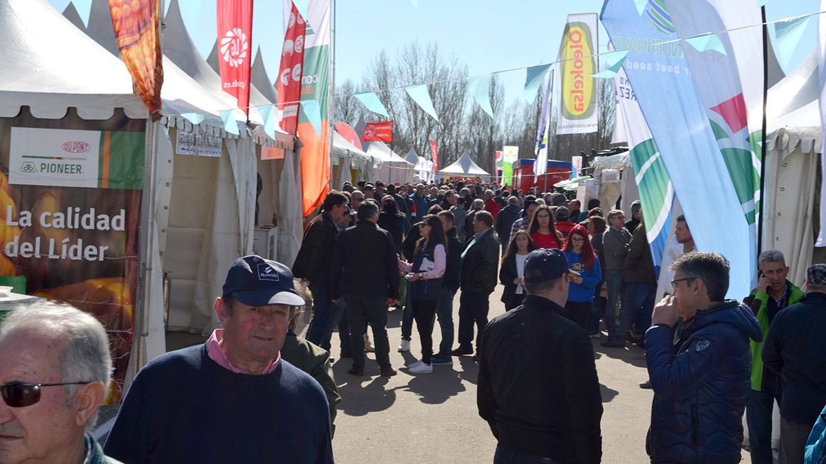 La Isla, donde están las empresas del campo, este viernes por la mañana. | T.G.