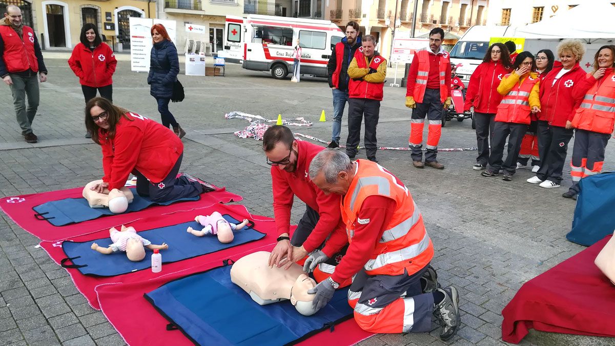 Parte del equipo de voluntarios, en una muestra de una acción de reanimación cardiopulmonar. | D.M.