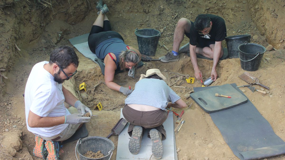 Un grupo de la ARMH trabaja en la segunda fosa hallada en Casasola de Rueda, donde se han encontrado los restos de cuatro personas. | C.C.L.