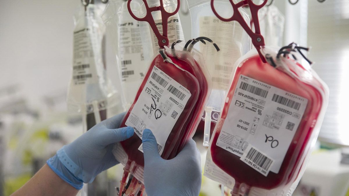 sangre-donaciones-1432020.jpg