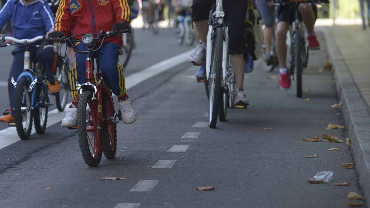 Chavales sobre dos ruedas en uno de los carriles bici de la ciudad. | MAURICIO PEÑA
