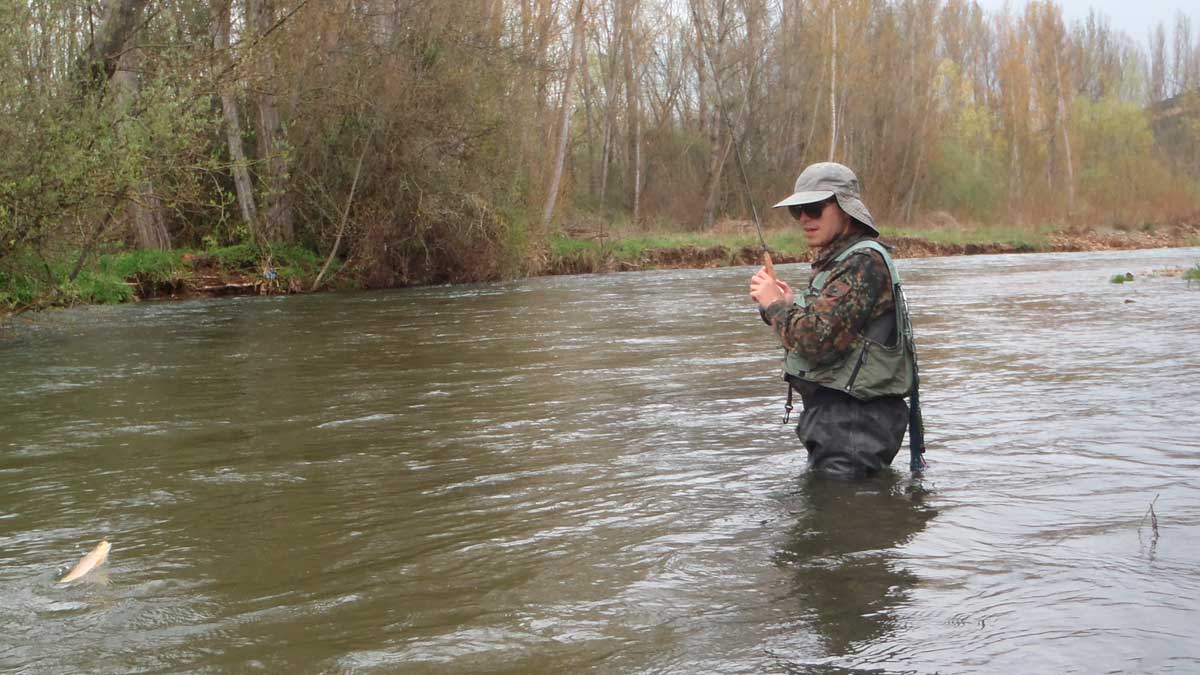 Un pescador en el río Porma. | R.P.N.