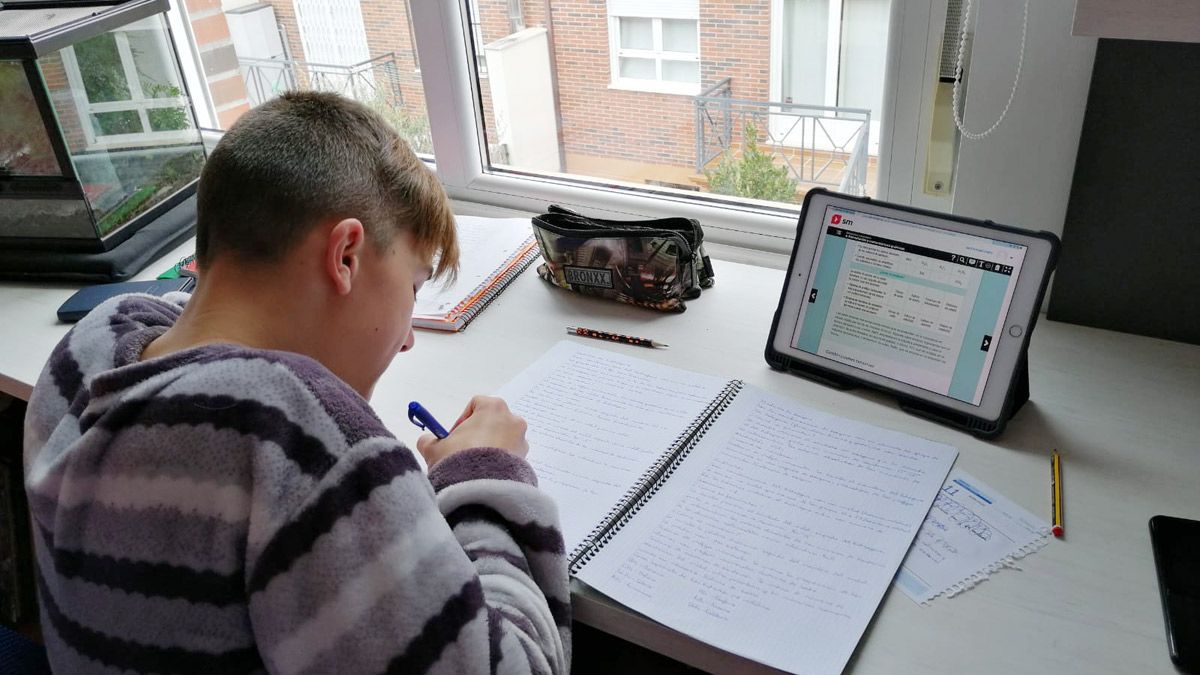 Un estudiante del Colegio Divina Pastora prepara un trabajo atendiendo a las pautas virtuales de su profesor. | L.N.C.