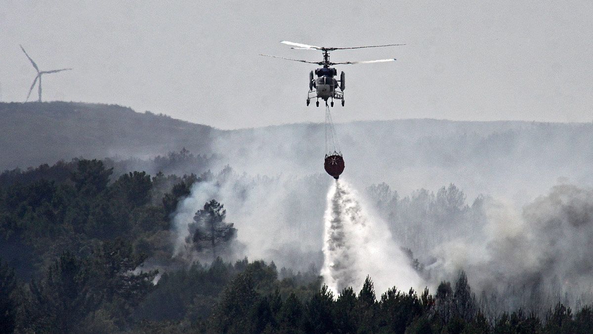 Las llamas han arrasado ya una superficie de más de 2.000 hectáreas. | ICAL