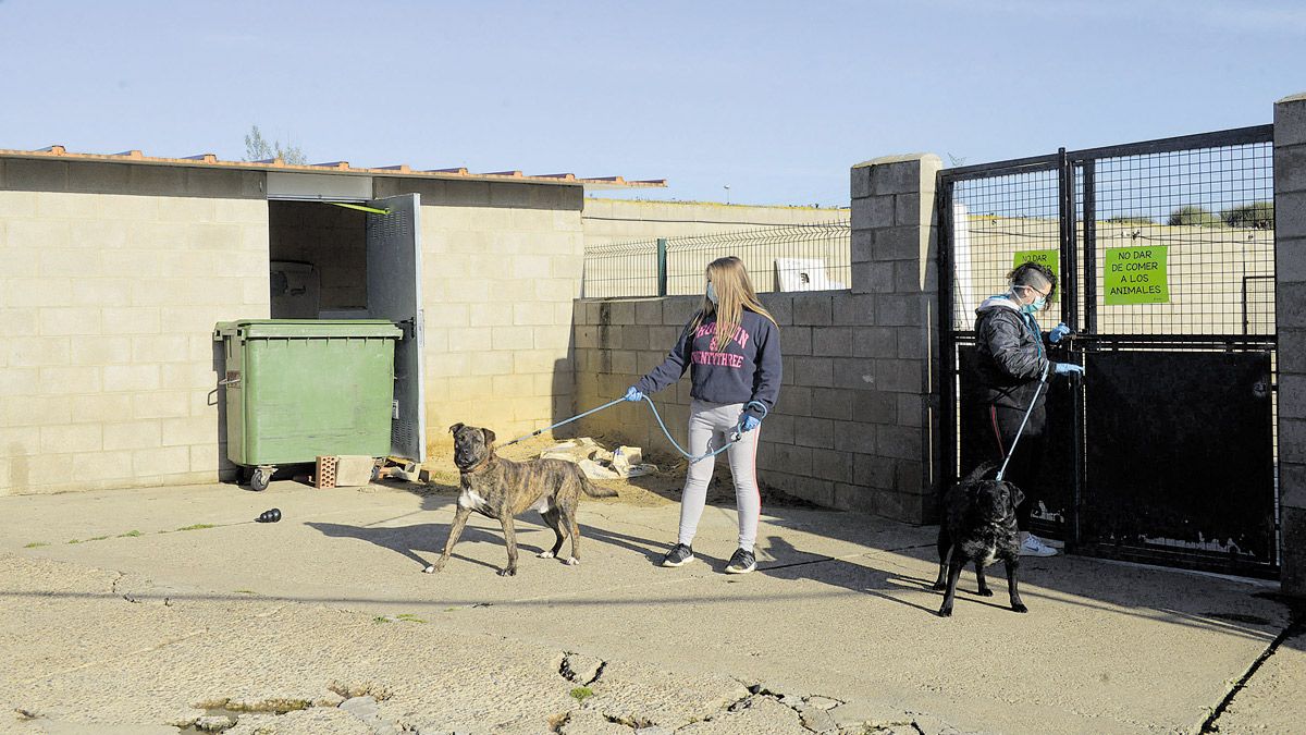 Las instalaciones están cerradas al público y voluntarios y trabajadores atienden a los animales. | MAURICIO PEÑA