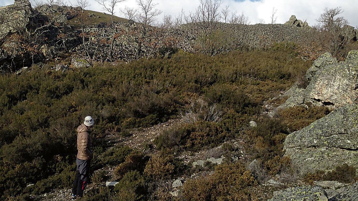 Estructura de cerramiento de El Piornal-La Mesa en terrenos del pueblo de Morla de la Valdería. | J.F. LOZANO