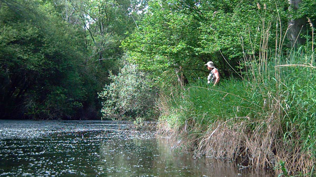 La pesca no está permitida en la Comunidad mientras dure el Estado de Alarma. | L.N.C.