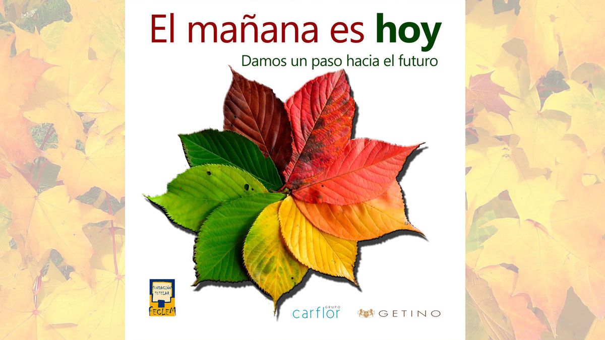 feclem-carflor-22042020.jpg