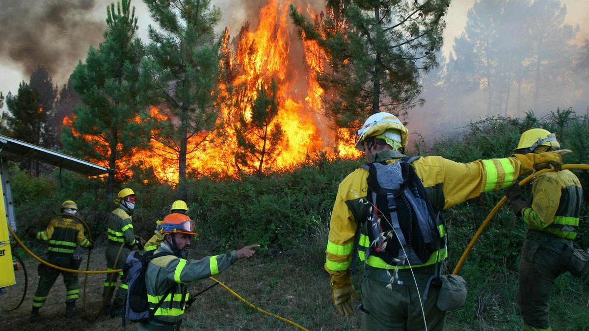 Uno de los últimos incendios forestales en el Bierzo, en la localidad de Magaz de Arriba. | César Sánchez (Ical)