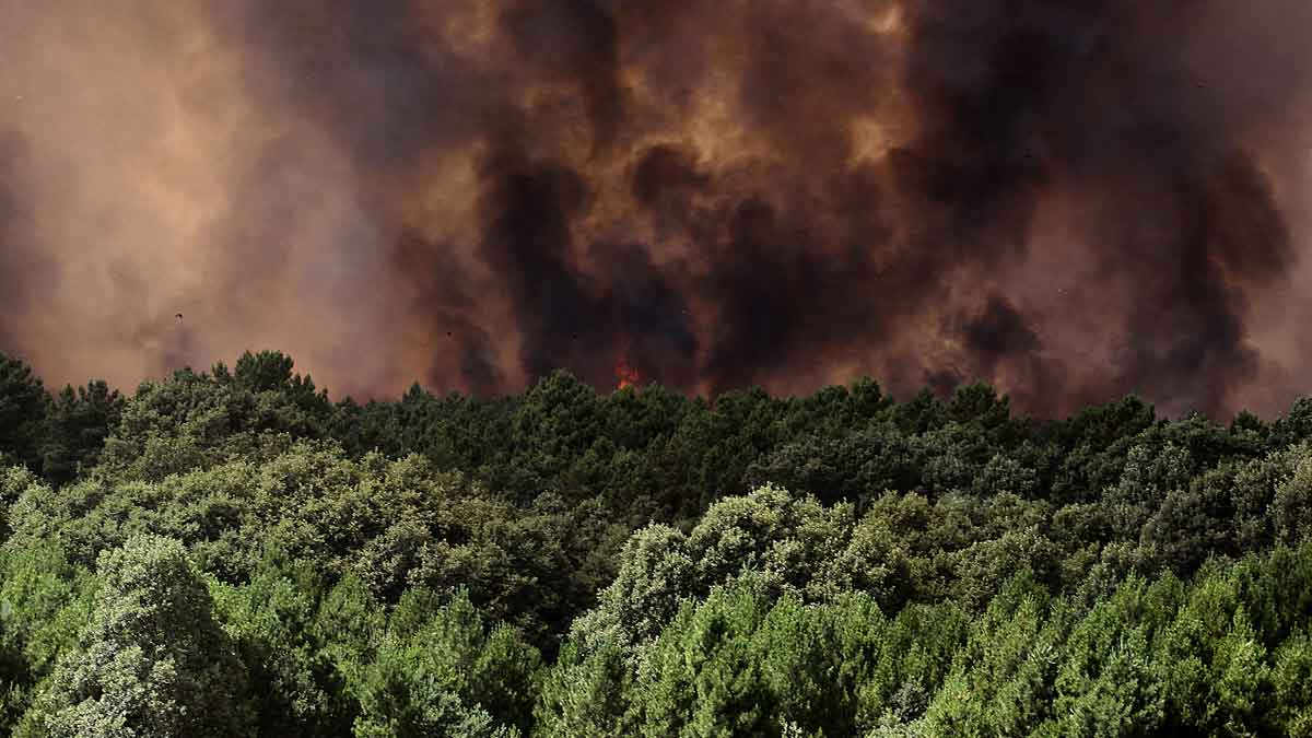 Así ardía hace unos días el incendio declarado en Palaciosmil (Quintana del Castillo). | ICAL