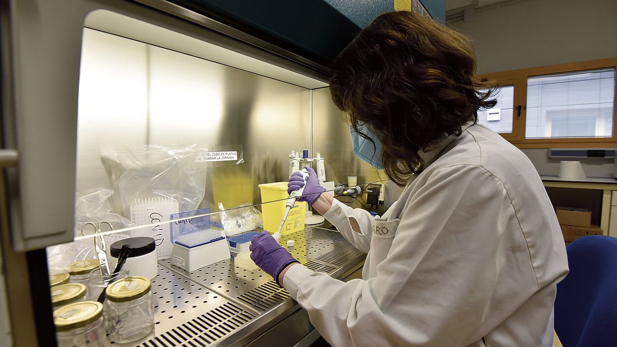 El Laboratorio Regional de Sanidad Animal, situado en Villaquilambre, donde se analizan PCR. | SAÚL ARÉN