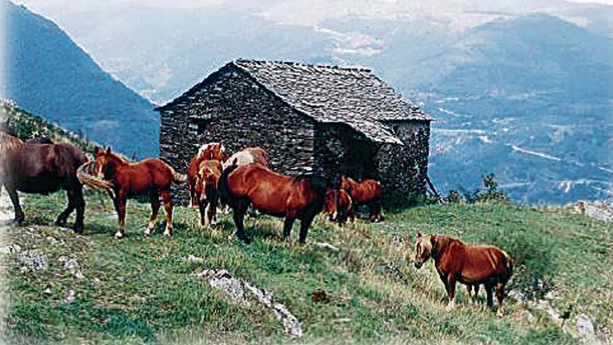 Laciana destaca por su riqueza natural y patrimonial. | L.N.C.