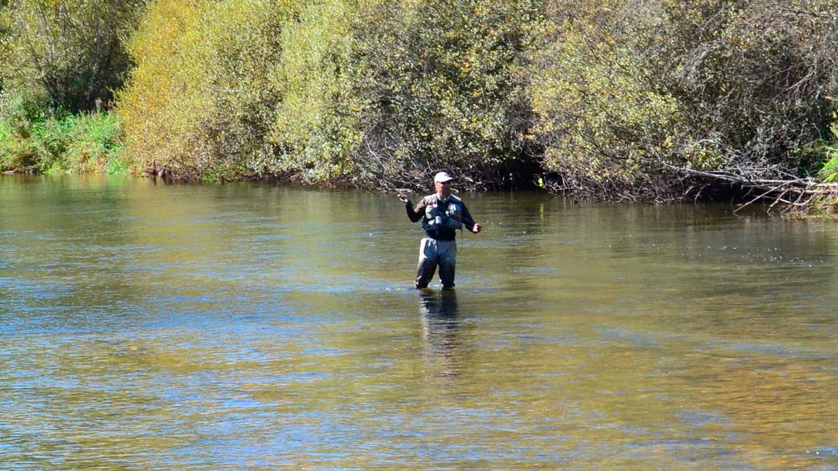 Pescando a mosca seca en el río Porma. | R.P.N. Pescando a mosca seca en el río Porma. | R.P.N.