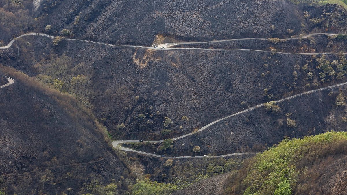 Imagen de montes de la Tebaida Berciana tras el incendio de 2017.