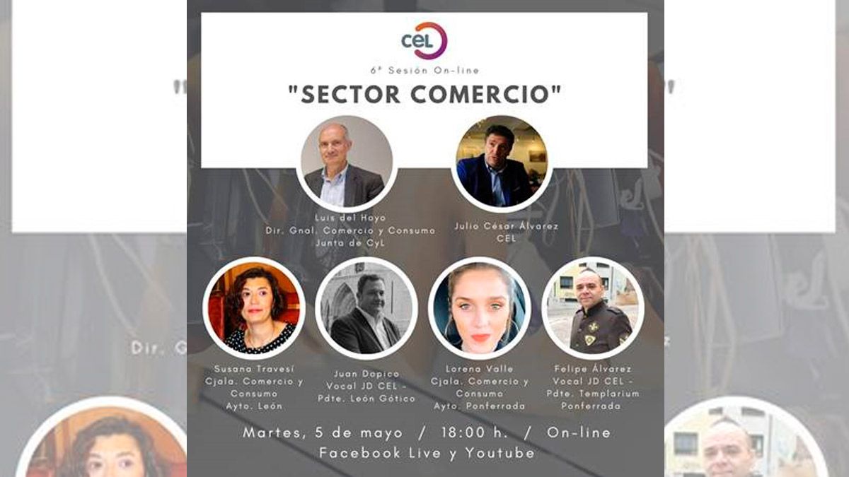 Participantes en la sesión telemática organizada por el CEL. | L.N.C.