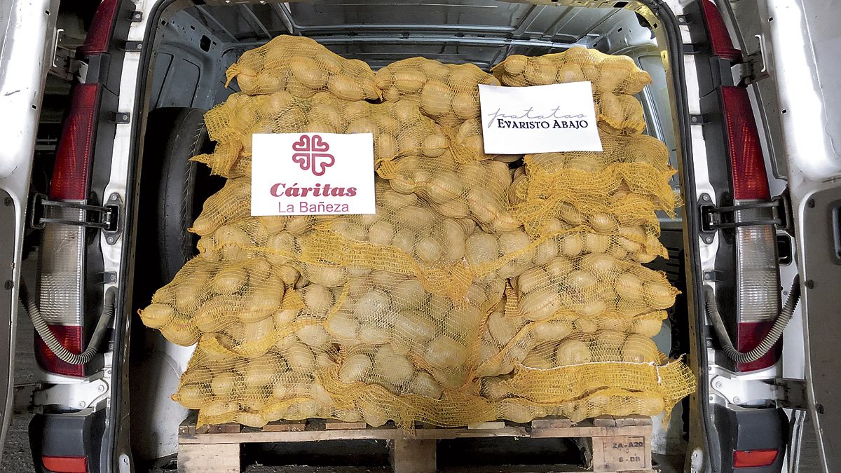 Parte del lote donado a Cáritas por la empresa agroalimentaria. | L.N.C. Parte del lote donado a Cáritas por la empresa agroalimentaria. | L.N.C.