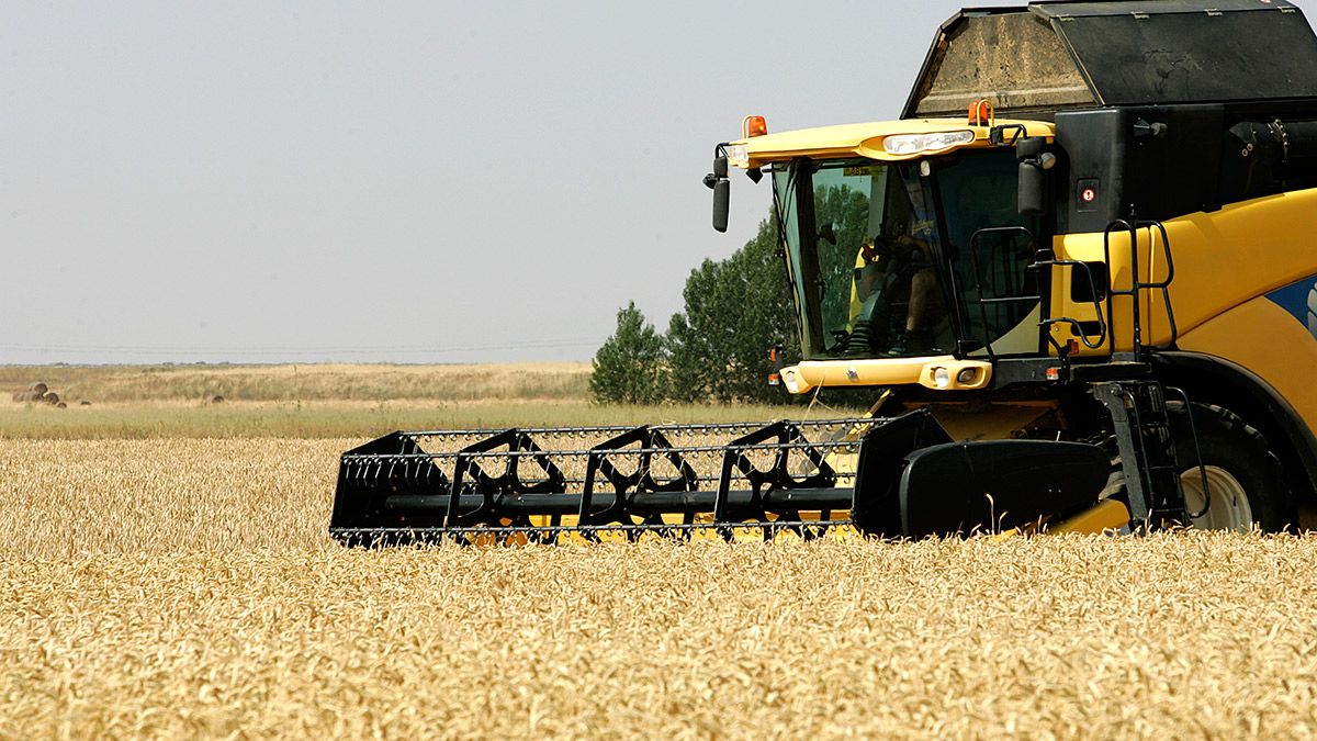 campo-14520.jpg campo-14520.jpg