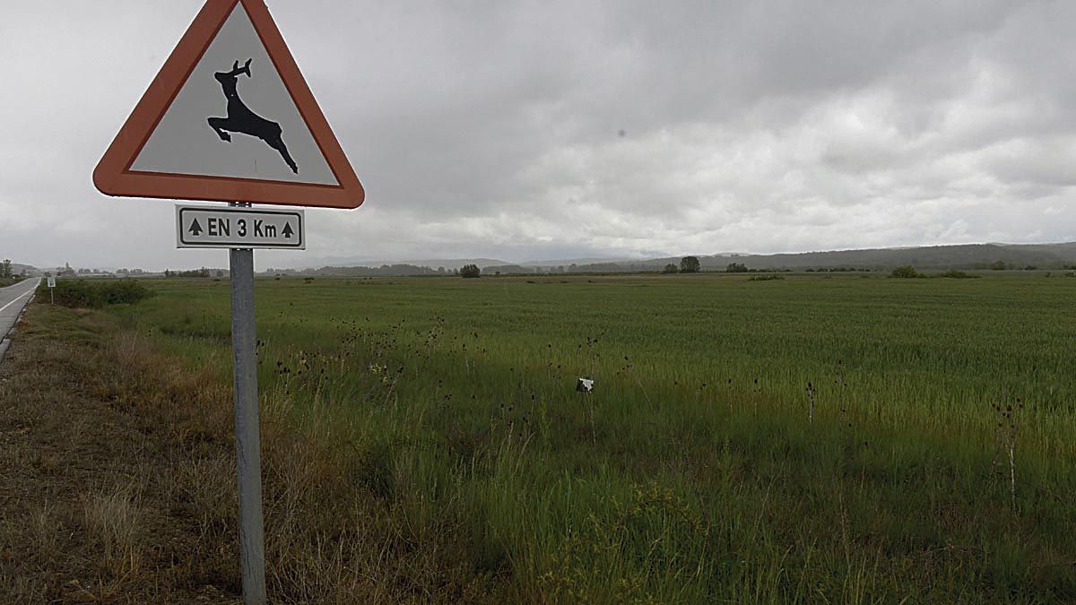 Emplazamiento en el que se asentará el polígono industrial de la localidad, conectado a la LE-232. | MAURICIO PEÑA