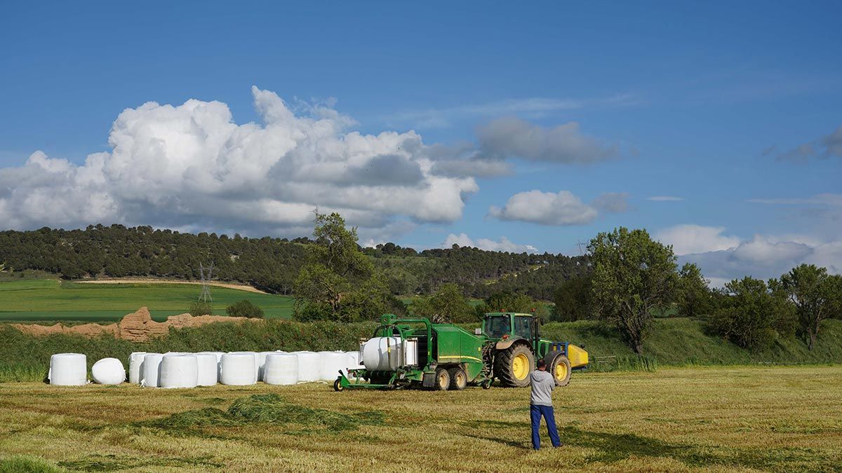 agricultura-upa-19520.jpg