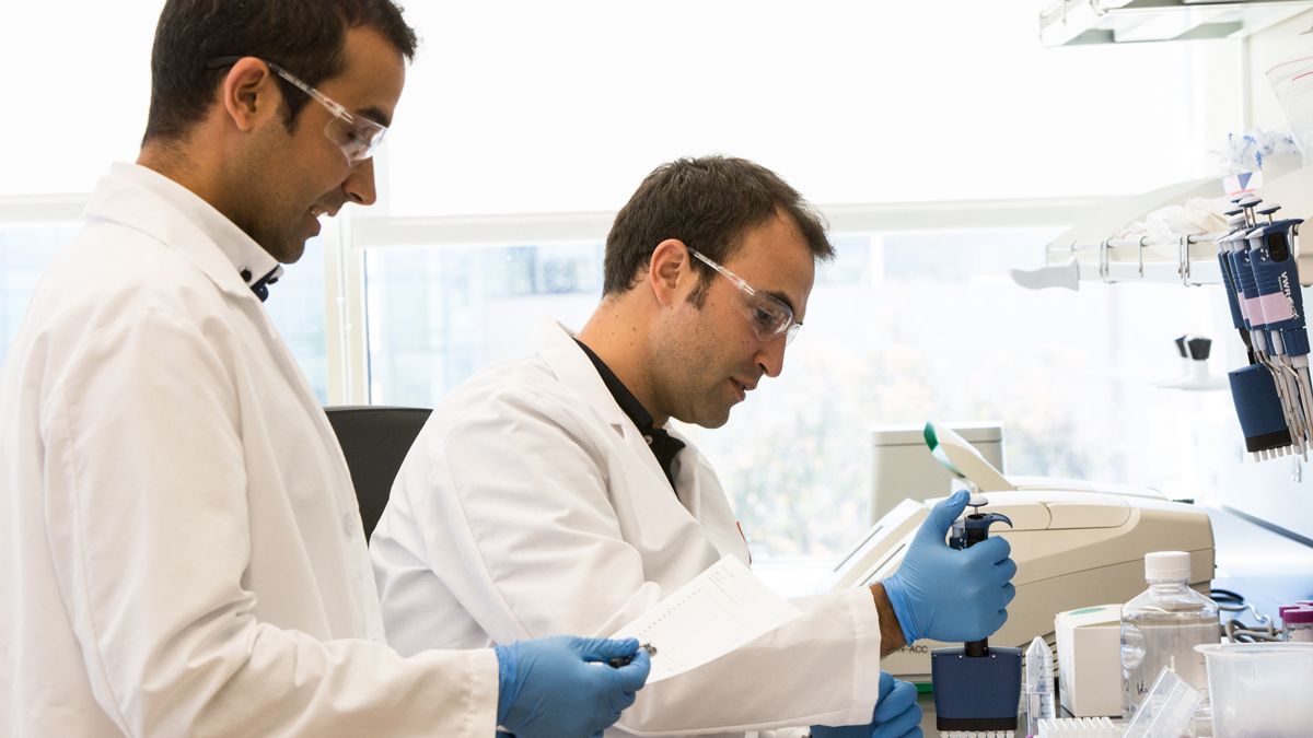 Alberto Acedo y Adrián Ferrero, los dos leoneses fundadores de Biome Makers. | L.N.C.