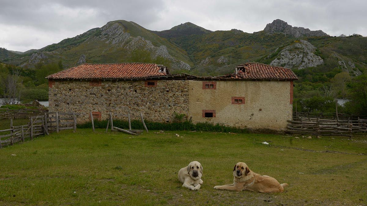 La despoblación sigue haciendo mella principalmente en el medio rural de la provincia de León. | MAURICIO PEÑA