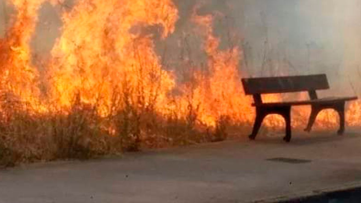 Las llamas eran intensas y obligaron al corte del vial. | BOMBEROS