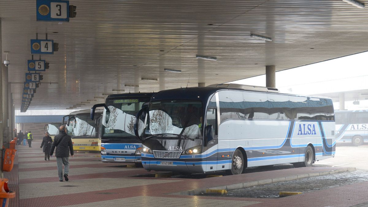 Imagen de archivo de autobuses en León. | MAURICIO PEÑA