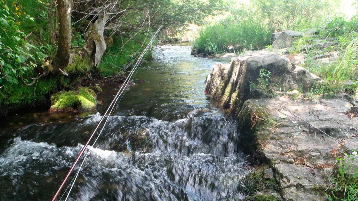 Pescando en el río Casares. | R.P.N.